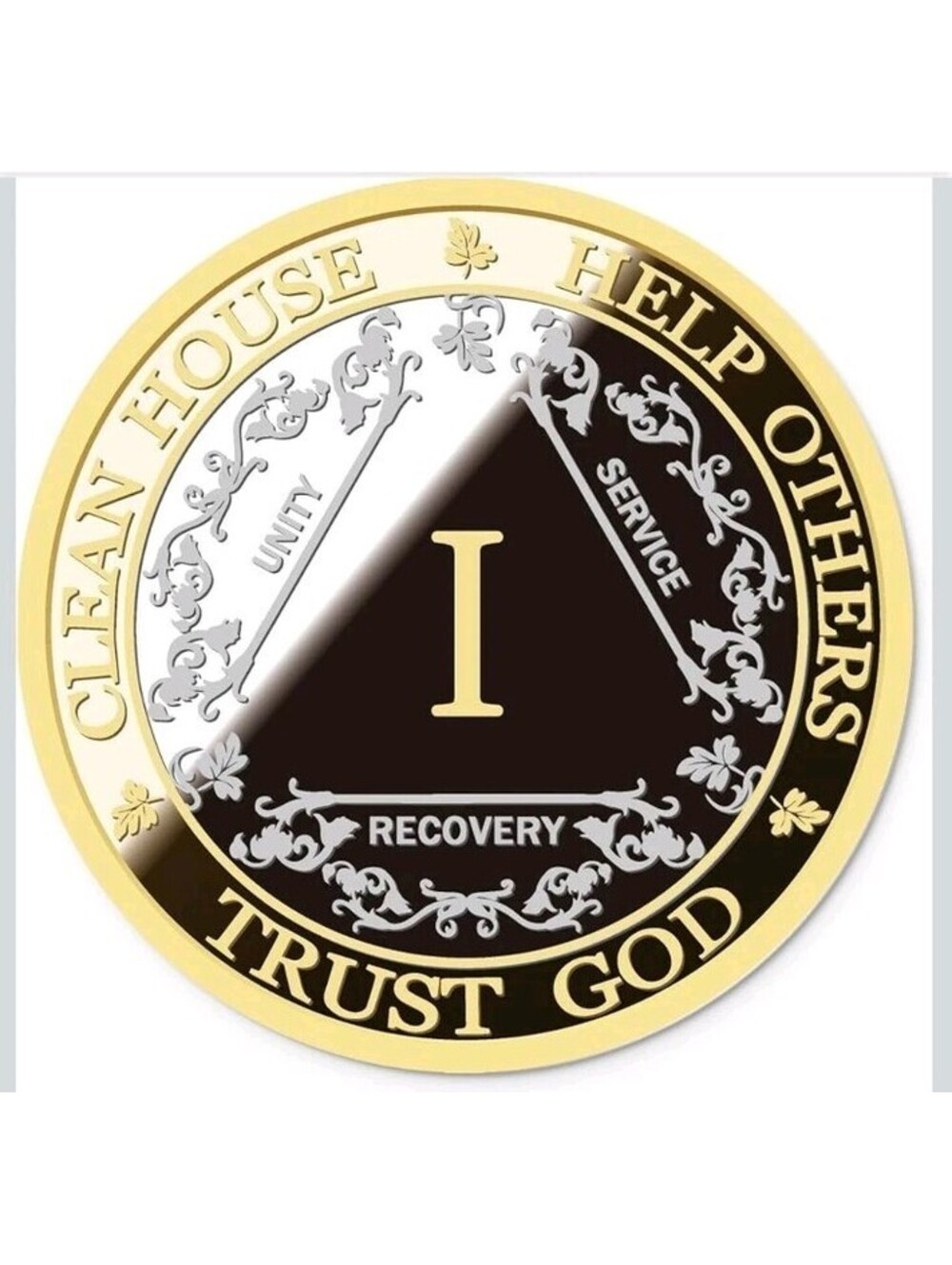 Silver & Gold 1 Year Alcoholics Anonymous Medallion AA Coin Capsule Gift